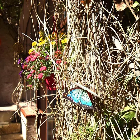 Guest house Le Voyage D'ulysse Marsillargues